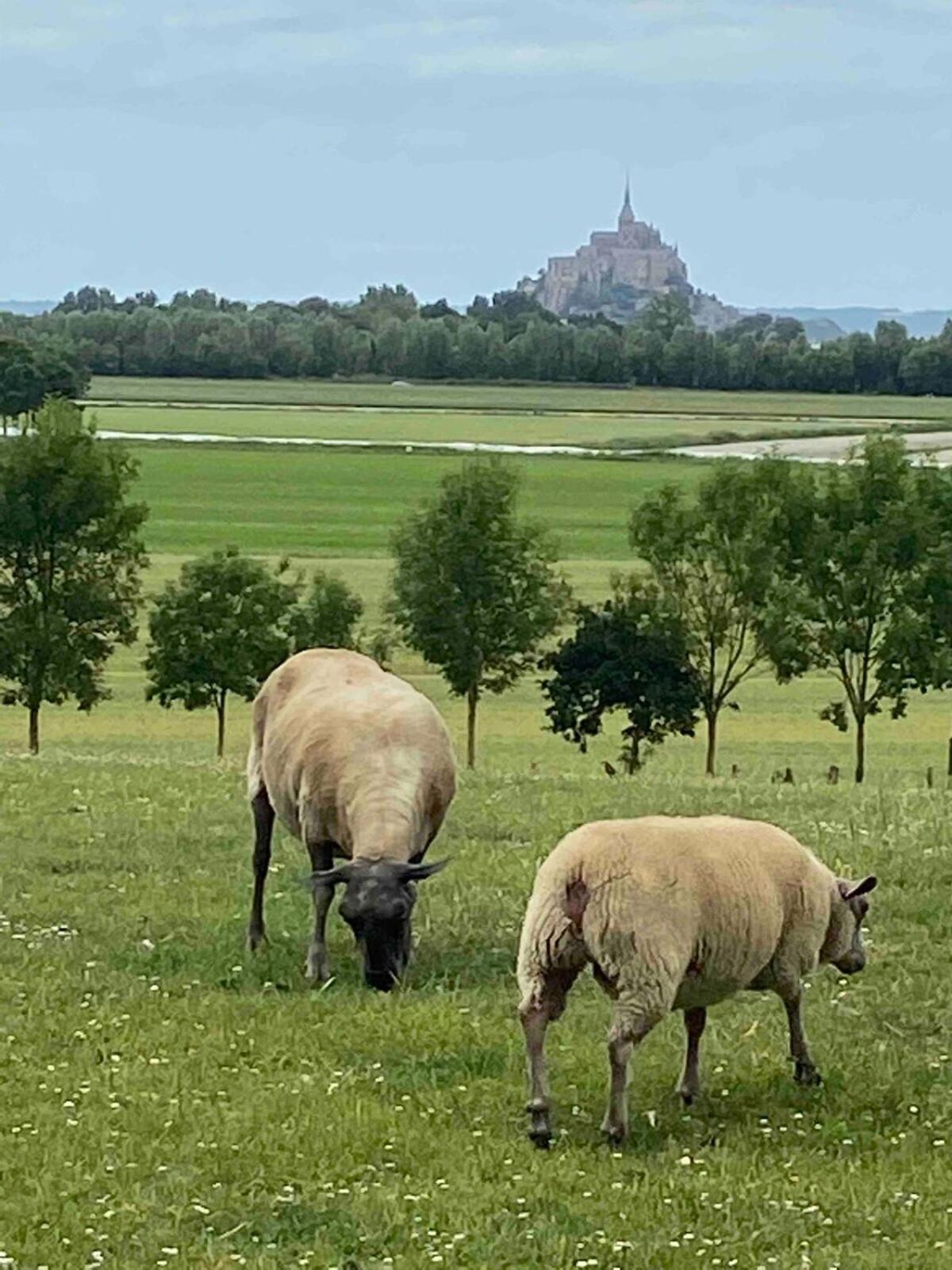 Gites Le Mont Desclos Saint Michel Beauvoir  Room photo